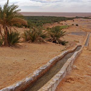 Canale d'irrigazione superficiale, falaj, qattara, aiun, foggara, Ph. Pietro Laureano