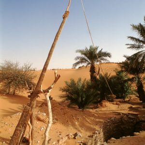 Shaduf, Mauritania, ph. Pietro Laureano 1989