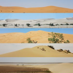 Abu Dhabi, Al Ain, Deserti, Emirati Arabi, ph. Panaiotis Kruklidis