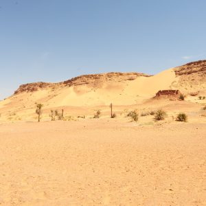 Desertificazione, Gourara, Algeria, ph. Pietro Laureano