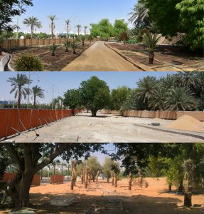 Al Ain Oasis, landscape, ladscaping, rendering, Emirati Arabi, ph. PaN