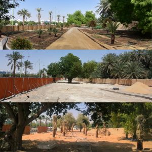 Al Ain Oasis, landscape, ladscaping, rendering, Emirati Arabi, ph. PaN