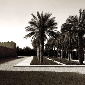 Qasr al Muwaiji, landscape, landscaping, Al Ain, Emirati Arabi, ph. PaN