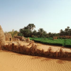 Azoughi, Mauritania, ph. Pietro Laureano